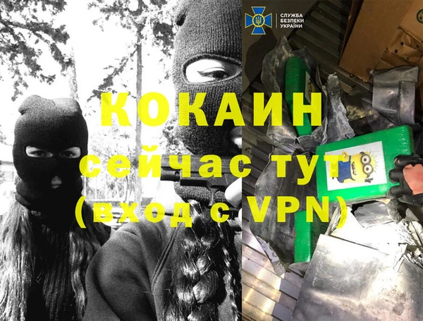 мескалин Богданович