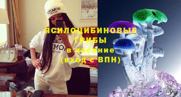 мескалин Богданович