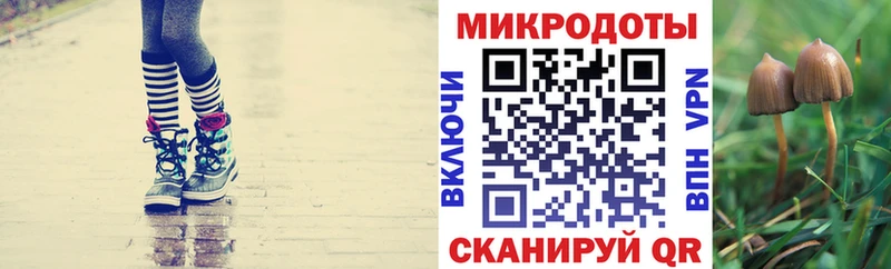 магазин продажи наркотиков Можга гидра ТОР Псилоцибиновые грибы ЛСД
