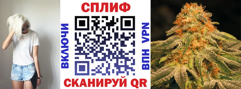 Бошки марихуана гибрид  Можга 